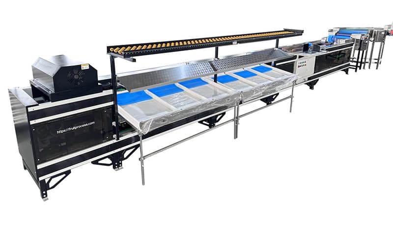 images/1751359077068mango grading machine.jpg